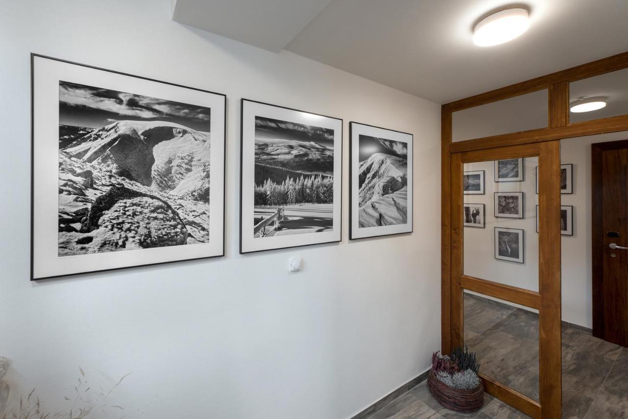 Chata Jerabinka Horní Malá Úpa エクステリア 写真