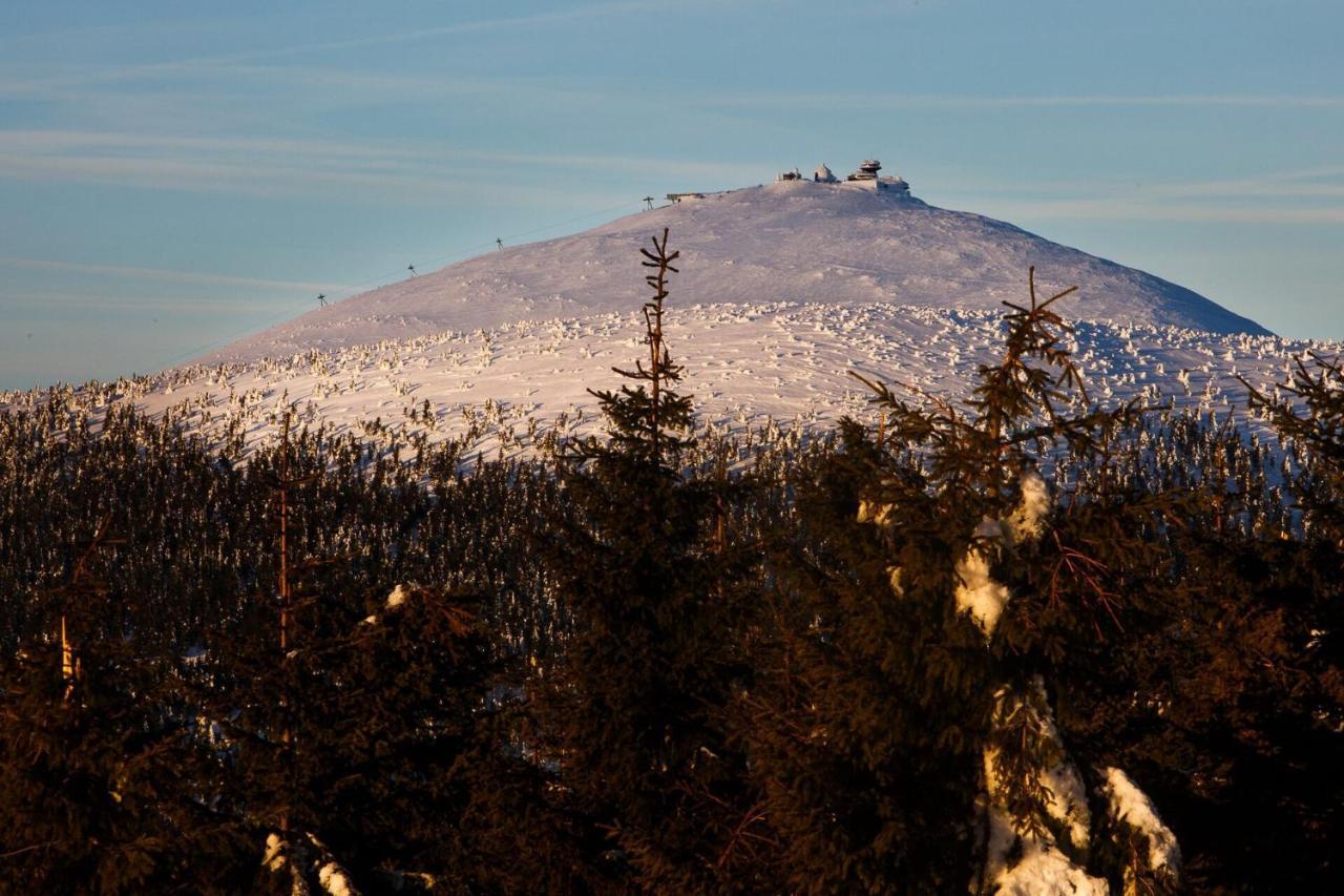 Chata Jerabinka Horní Malá Úpa エクステリア 写真
